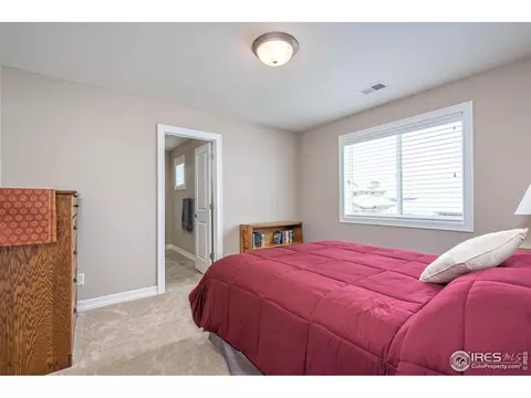 5970 Last Pointe Dr, Windsor, CO 80550 photo 23