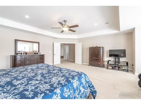 5970 Last Pointe Dr, Windsor, CO 80550 photo 19