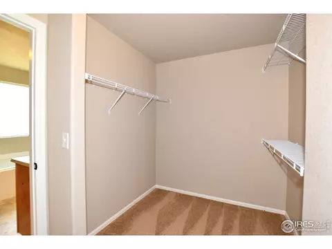 1711 Thrive Dr, Windsor, CO 80550 photo 33