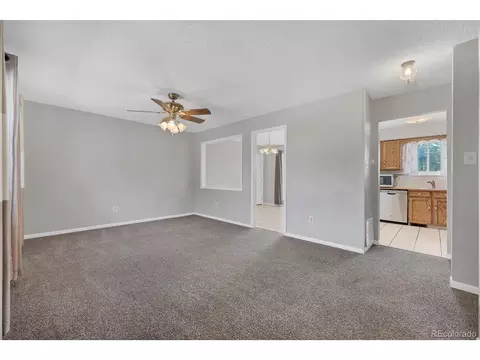 3560 E 128th Pl, Thornton, CO 80241 photo 3