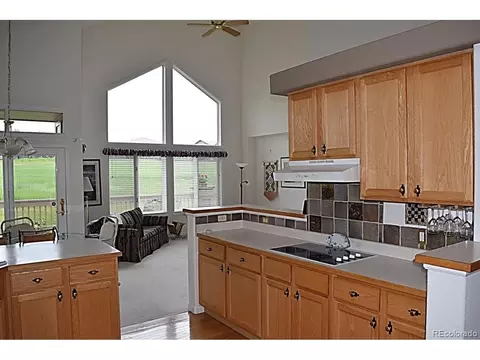 15941 Deer Ridge Dr, Morrison, CO 80465 photo 11