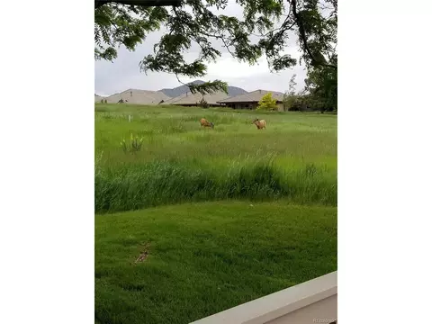 15941 Deer Ridge Dr, Morrison, CO 80465 photo 25