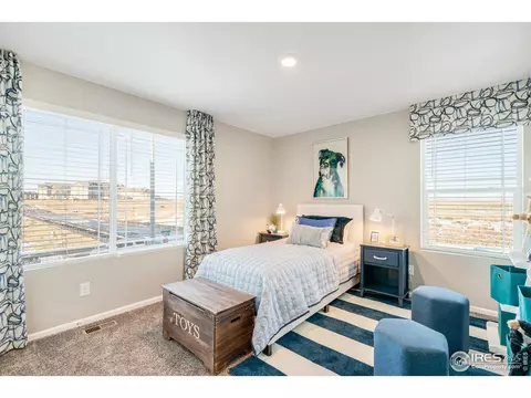 5394 Cedar St, Longmont, CO 80504 photo 30