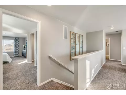 5394 Cedar St, Longmont, CO 80504 photo 22