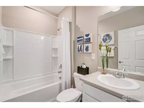5394 Cedar St, Longmont, CO 80504 photo 21