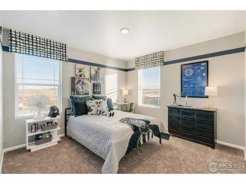 5394 Cedar St, Longmont, CO 80504 photo 31