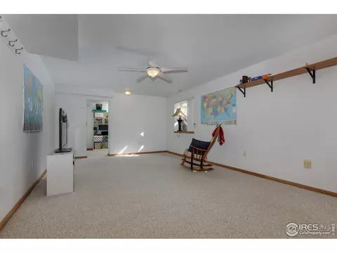 205 E Michigan Ave, Berthoud, CO 80513 photo 21