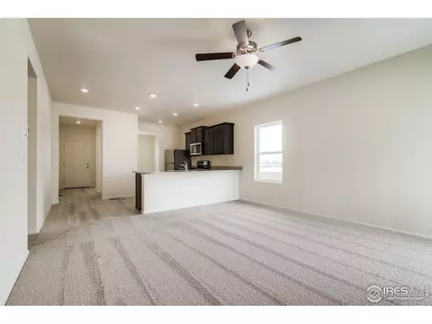 1237 Lily Mountain Rd, Windsor, CO 80550 photo 4