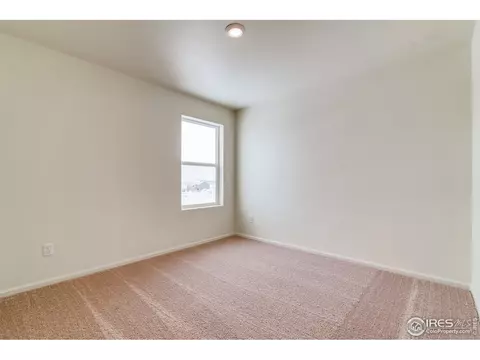 883 Emerald Lakes St, Windsor, CO 80550 photo 20