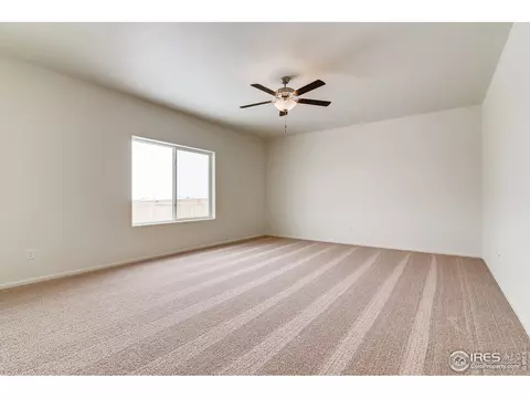 883 Emerald Lakes St, Windsor, CO 80550 photo 3