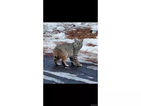 20606 Yoke Trl, Morrison, CO 80465 photo 46