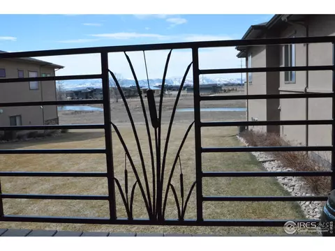 6929 Summerwind Ct, Timnath, CO 80547 photo 37