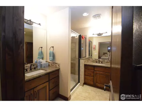 6929 Summerwind Ct, Timnath, CO 80547 photo 27
