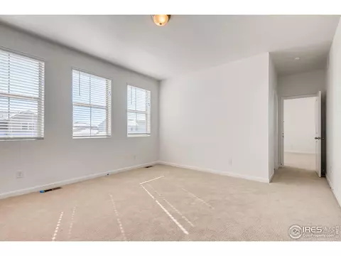 1803 Thrive Dr, Windsor, CO 80550 photo 18