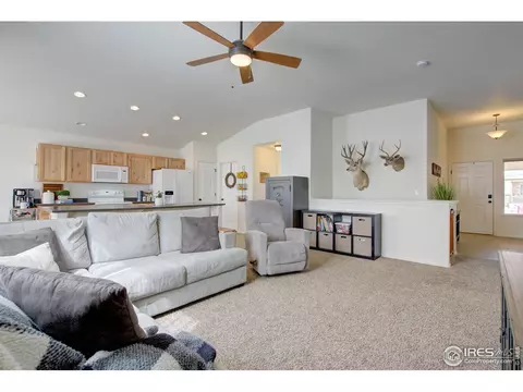 249 Castle Dr, Severance, CO 80550 photo 6