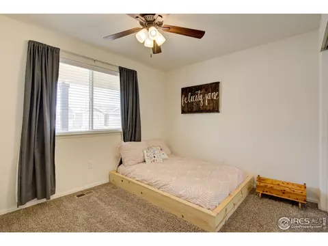 249 Castle Dr, Severance, CO 80550 photo 25