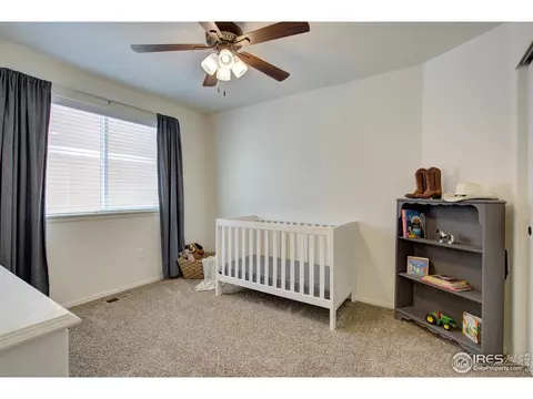 249 Castle Dr, Severance, CO 80550 photo 21