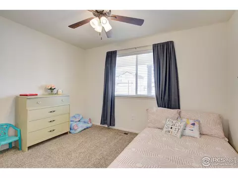 249 Castle Dr, Severance, CO 80550 photo 26