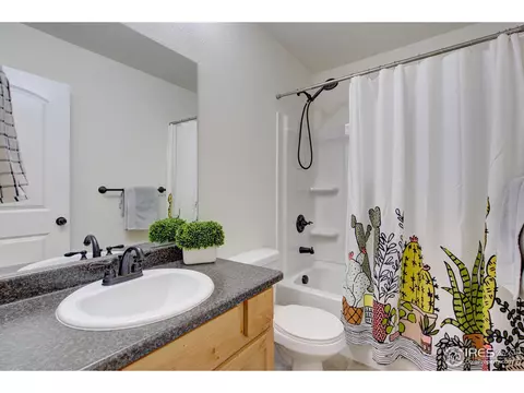 249 Castle Dr, Severance, CO 80550 photo 24
