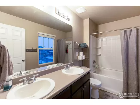 6807 Grainery Rd, Timnath, CO 80547 photo 22