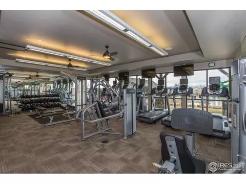 6807 Grainery Rd, Timnath, CO 80547 photo 39
