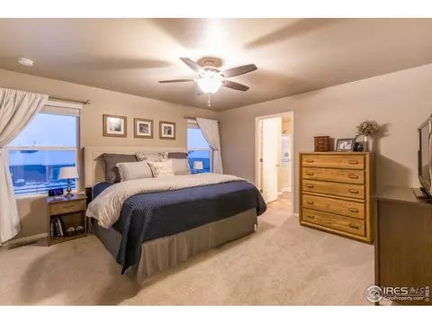 6807 Grainery Rd, Timnath, CO 80547 photo 16