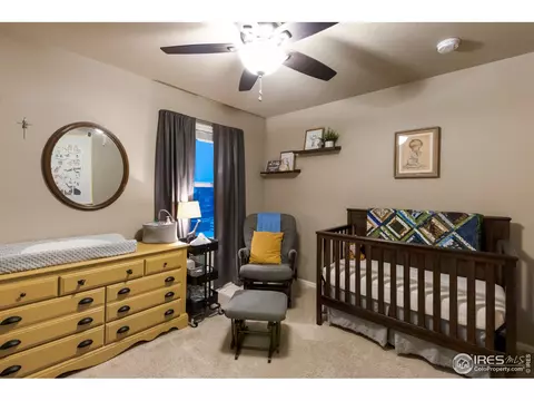 6807 Grainery Rd, Timnath, CO 80547 photo 24