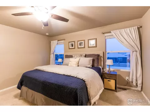 6807 Grainery Rd, Timnath, CO 80547 photo 17