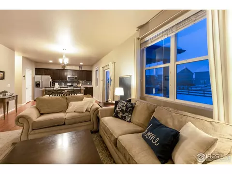 6807 Grainery Rd, Timnath, CO 80547 photo 6