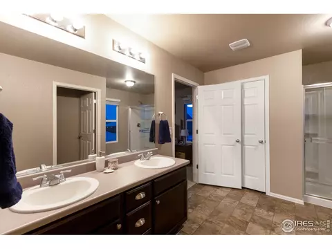 6807 Grainery Rd, Timnath, CO 80547 photo 18