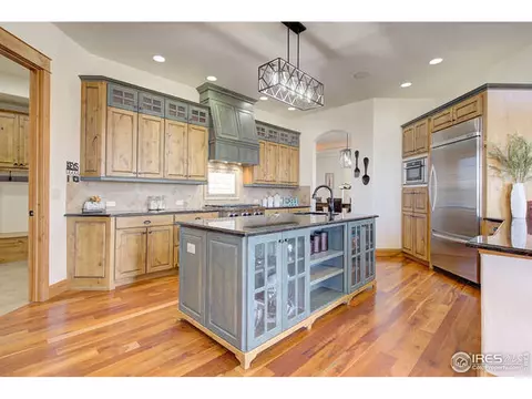 1198 Falcon Ct, Windsor, CO 80550 photo 35