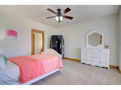 1198 Falcon Ct, Windsor, CO 80550 photo 38