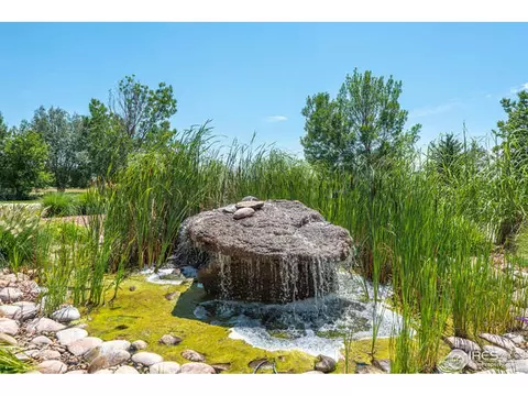 1198 Falcon Ct, Windsor, CO 80550 photo 12