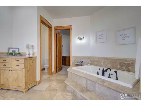 1198 Falcon Ct, Windsor, CO 80550 photo 29
