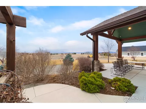 481 Madera Way, Windsor, CO 80550 photo 23