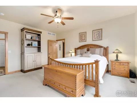 481 Madera Way, Windsor, CO 80550 photo 16