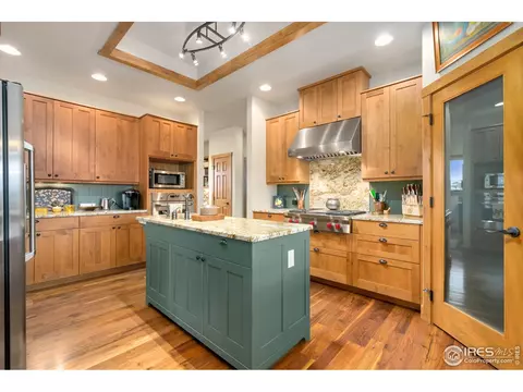 481 Madera Way, Windsor, CO 80550 photo 11