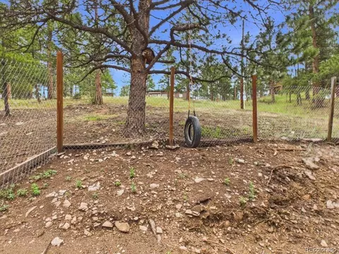 Exterior - 784 Mockingbird Trl, Bailey, CO 80421 photo 8 of 9