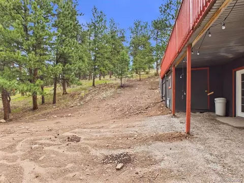 Exterior - 784 Mockingbird Trl, Bailey, CO 80421 photo 6 of 9