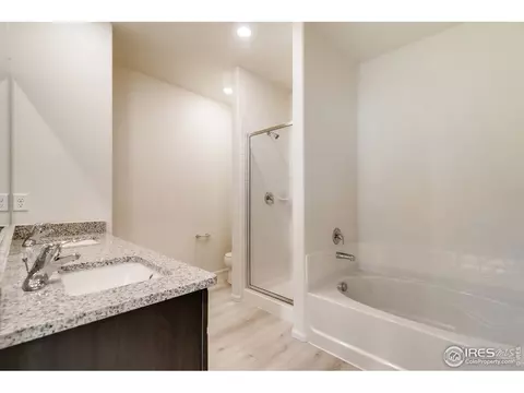 885 Emerald Lakes St, Windsor, CO 80550 photo 16