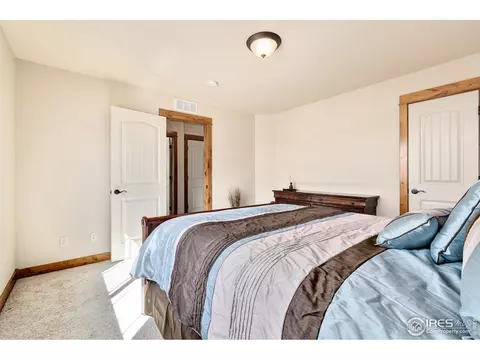 662 Denali Ct, Windsor, CO 80550 photo 28