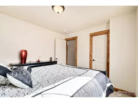 662 Denali Ct, Windsor, CO 80550 photo 22