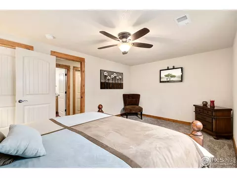 662 Denali Ct, Windsor, CO 80550 photo 29