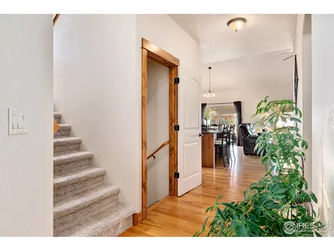 662 Denali Ct, Windsor, CO 80550 photo 3