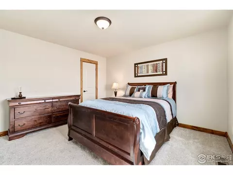 662 Denali Ct, Windsor, CO 80550 photo 25
