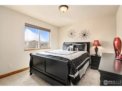 662 Denali Ct, Windsor, CO 80550 photo 23