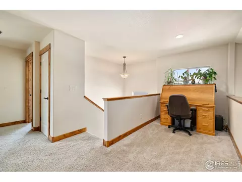 662 Denali Ct, Windsor, CO 80550 photo 19