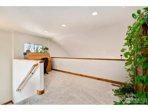 662 Denali Ct, Windsor, CO 80550 photo 20