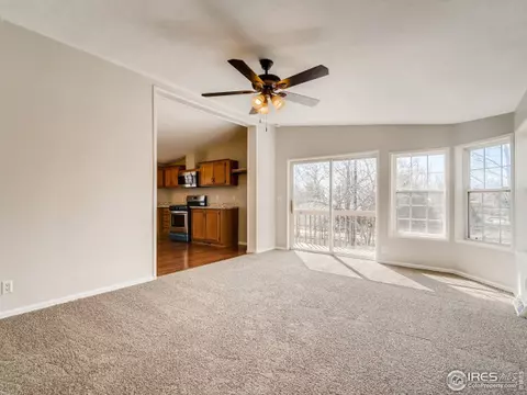 2920 Welsh Dr, Laporte, CO 80535 photo 5