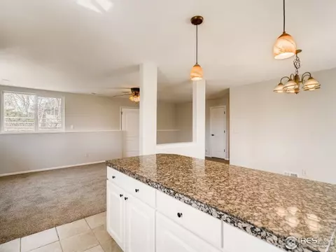 2920 Welsh Dr, Laporte, CO 80535 photo 16